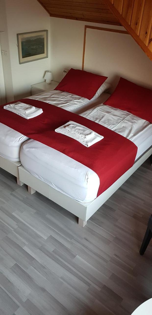 Apotek Guesthouse Hofn Ngoại thất bức ảnh