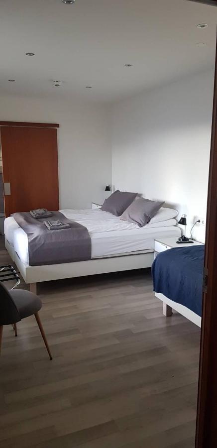 Apotek Guesthouse Hofn Ngoại thất bức ảnh